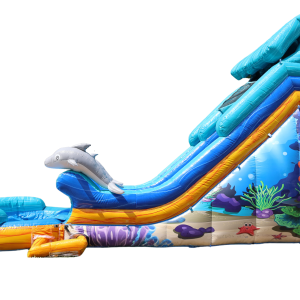 18 ft Dolphin Wave Rider